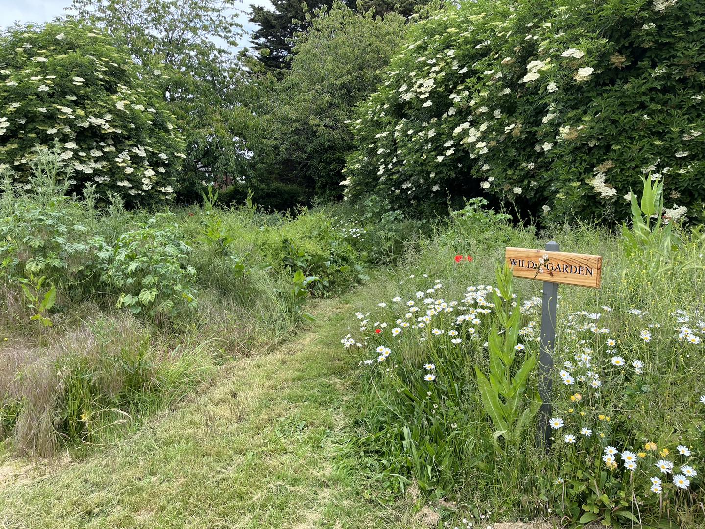 A wooden arrow sign with 'Wild Garden' on it stands amid a swathe of wildlflower and grass